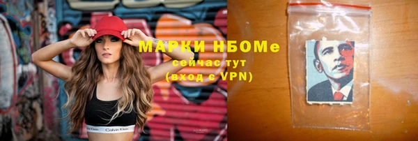 индика Алзамай