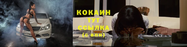 индика Ветлуга