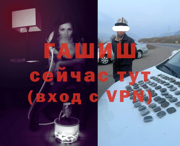индика Алзамай