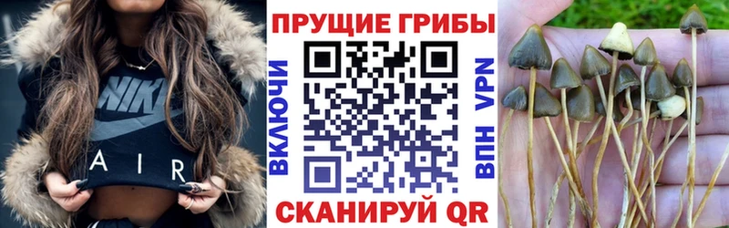 Псилоцибиновые грибы Magic Shrooms  купить наркоту  Завитинск 